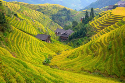Longsheng Reisterrassen, China Rundreise, Natur