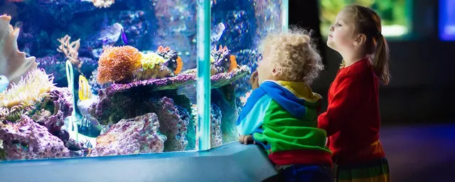 Shanghai Ocean Aquarium, China Rundreise