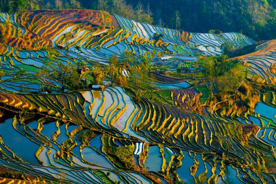 Yuanyang Reisterrassen, Laos und Yunnan Rundreise, Natur