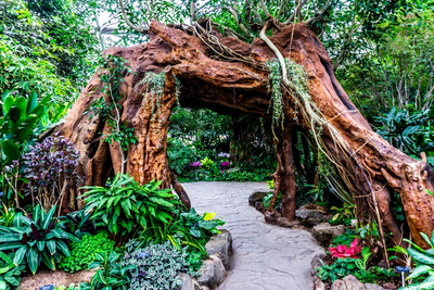 Botanischer Garten Chensahn, Shanghai, China Gartenreise