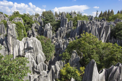 Steinwald in Kunming, Laos und Yunnan Rundreise, Natur