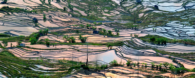 Yuanyang Reisterrasse, China Rundreise