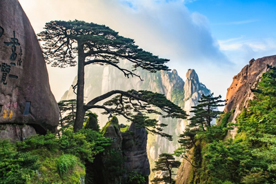 Goldenes Gebirge, Huangshan, China Gartenreise