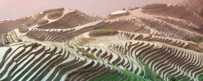 Reisterrassen, Guangxi, China Reise