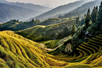 Reisterrasseb in Longshen, China Rundreise