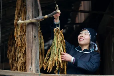 Volk der Dong, Zhaoxing, Südchina Reise, Kultur