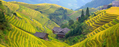 Reisterrassen, Longsheng, China Reise